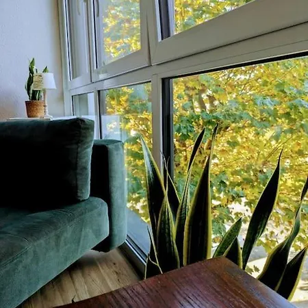 Gemuetlich Und Zentral سيغن