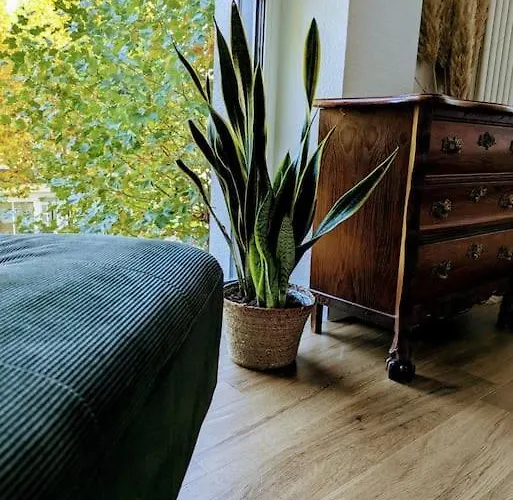 Gemuetlich Und Zentral * Siegen